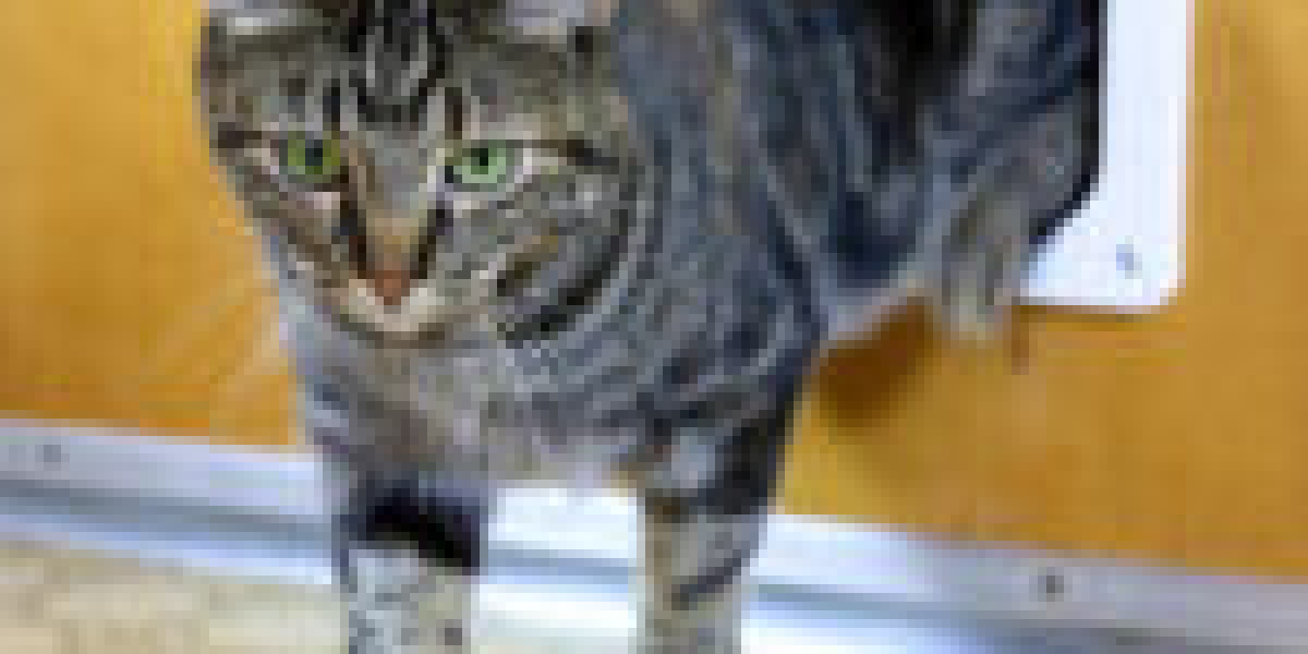 How To Save Money On Cat Flap Installer