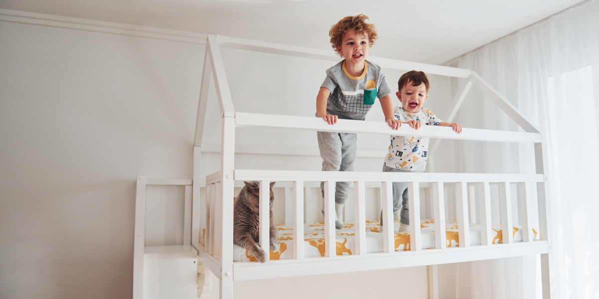 Where To Research Bunk Beds For Adults Online