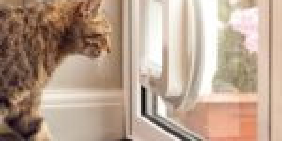 10 Things You Learned In Kindergarden To Help You Get Started With Cat Flap Installation Quote